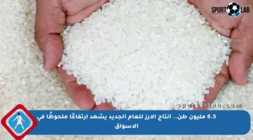 8.5 مليون طن.. إنتاج الأرز للعام الجديد يشهد ارتفاعًا ملحوظًا في الأسواق